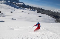 skischule-lofer-sturm8